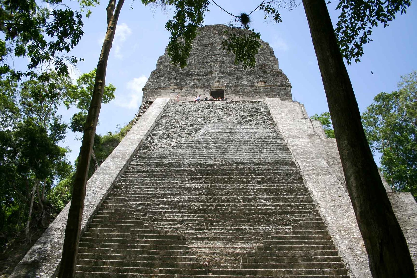 Tikal Must-See Mayan Ruins in Guatemala for Your Next Adventure